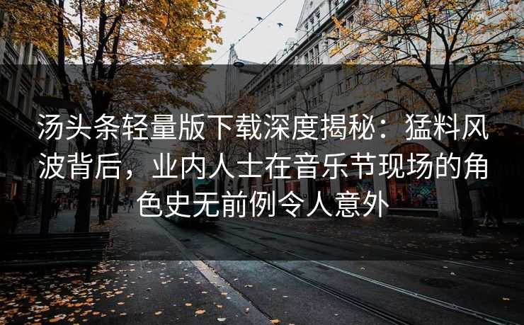 汤头条轻量版下载深度揭秘：猛料风波背后，业内人士在音乐节现场的角色史无前例令人意外