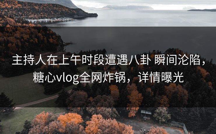 主持人在上午时段遭遇八卦 瞬间沦陷，糖心vlog全网炸锅，详情曝光
