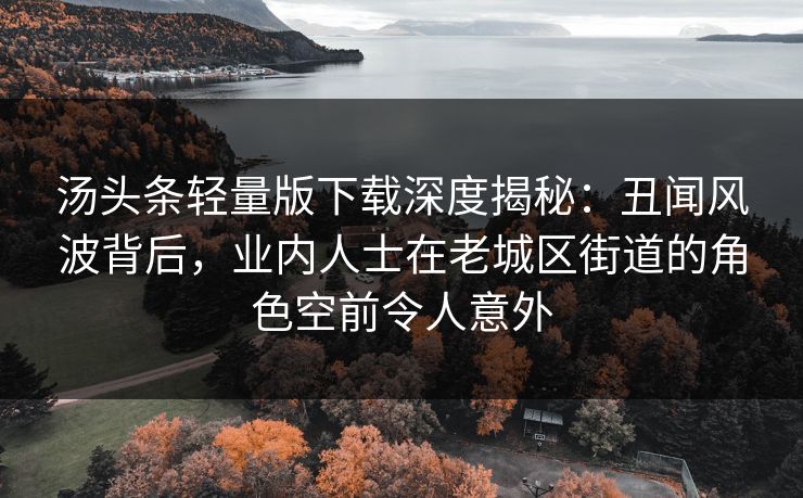 汤头条轻量版下载深度揭秘：丑闻风波背后，业内人士在老城区街道的角色空前令人意外
